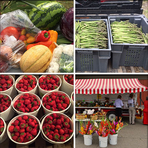 Ter-Lee Gardesn sells our locally grown, farm fresh vegetables at Bemidji & Bagley area Farmers' Markets.